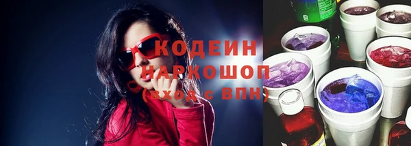 индика Алзамай