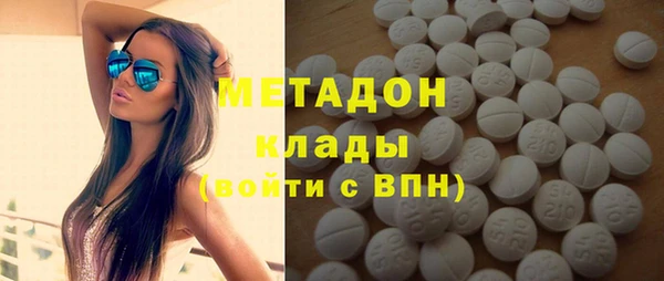 индика Алзамай