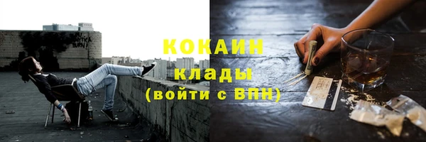 индика Алзамай