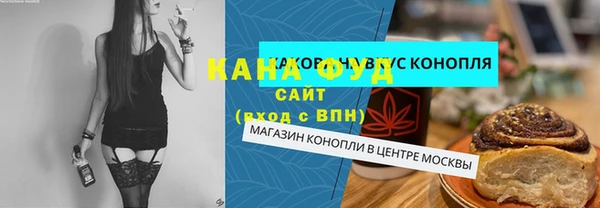 индика Алзамай