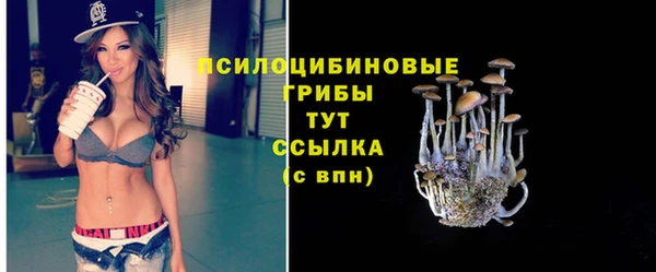 гидропоника Алексеевка