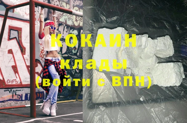 индика Алзамай