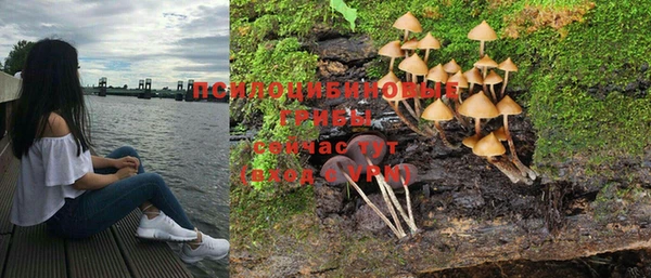 индика Алзамай