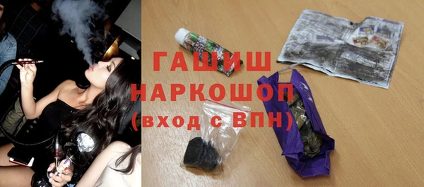 индика Алзамай
