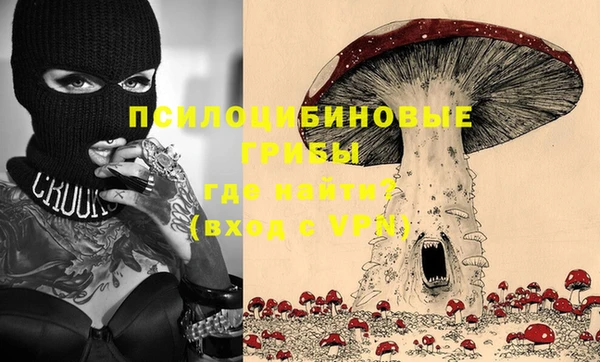 индика Алзамай