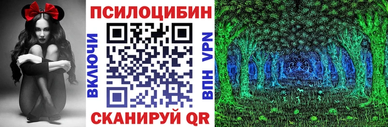 Галлюциногенные грибы Psilocybe  Омутнинск 